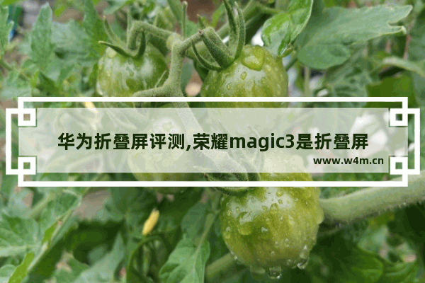 华为折叠屏评测,荣耀magic3是折叠屏吗