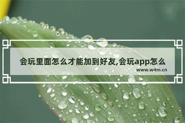 会玩里面怎么才能加到好友,会玩app怎么加好友-