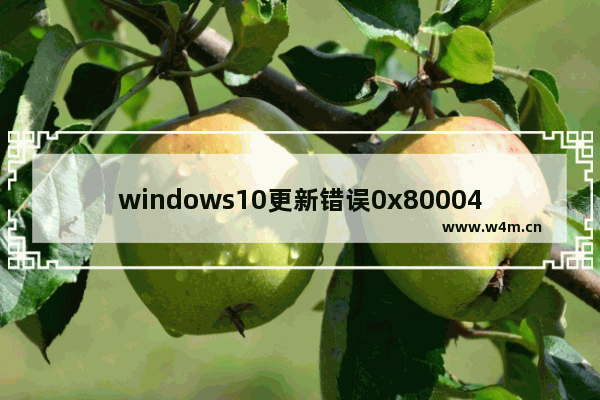 windows10更新错误0x80004002,win10 0x80004005错误原因