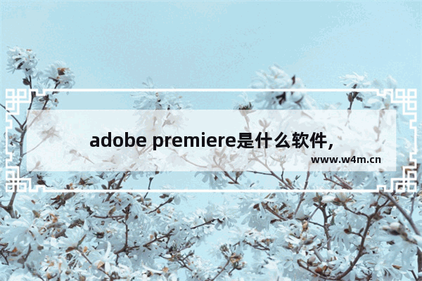 adobe premiere是什么软件,pr是什么软件