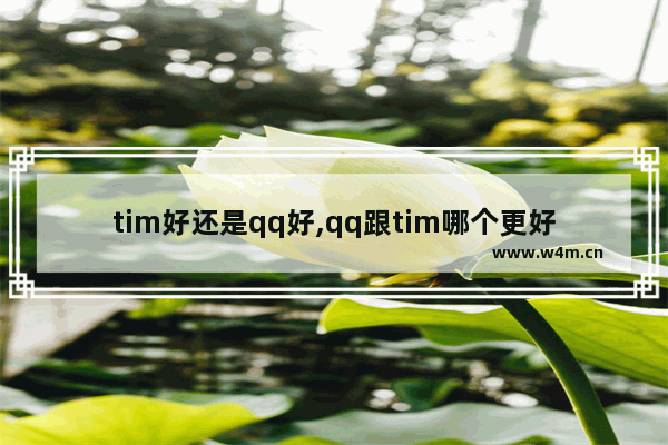 tim好还是qq好,qq跟tim哪个更好