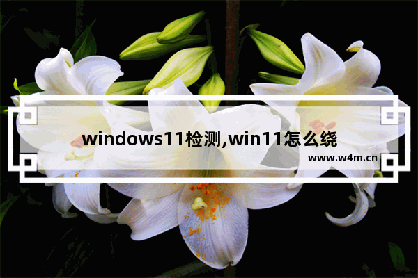 windows11检测,win11怎么绕过检测