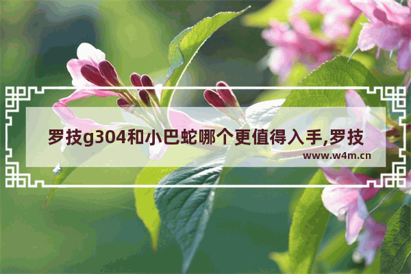 罗技g304和小巴蛇哪个更值得入手,罗技g304无线和雷蛇小巴蛇