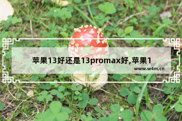 苹果13好还是13promax好,苹果13promax哪款性价比高