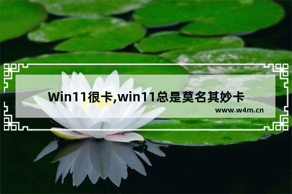 Win11很卡,win11总是莫名其妙卡死