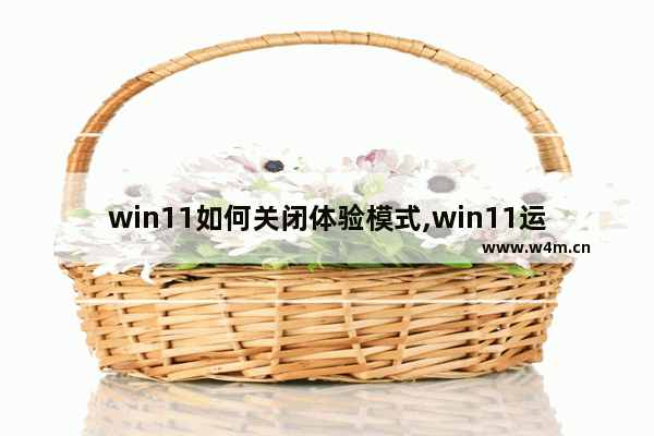 win11如何关闭体验模式,win11运行打开设置