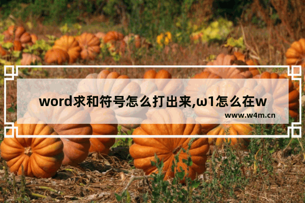 word求和符号怎么打出来,ω1怎么在word打