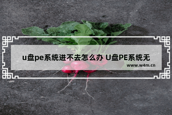 u盘pe系统进不去怎么办 U盘PE系统无法启动怎么处理