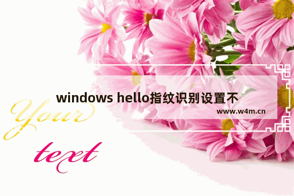 windows hello指纹识别设置不了,windows hello指纹设置没反应