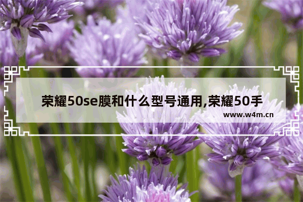 荣耀50se膜和什么型号通用,荣耀50手机膜和什么型号通用