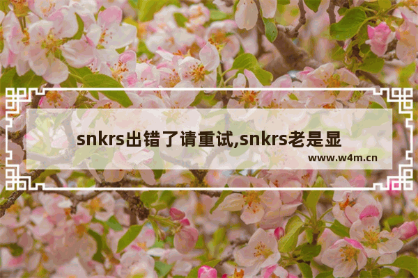 snkrs出错了请重试,snkrs老是显示出错了 稍后重试