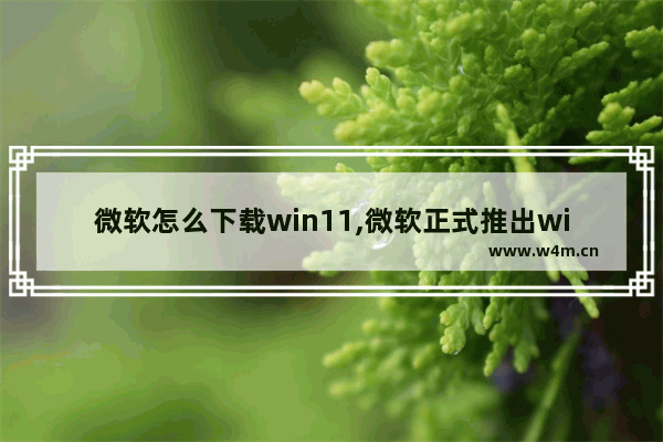 微软怎么下载win11,微软正式推出windows 11系统下载