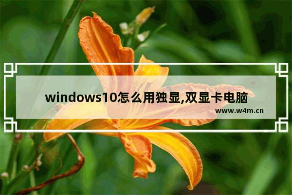 windows10怎么用独显,双显卡电脑Win10如何设置只使用独显