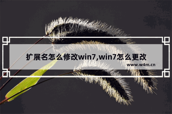 扩展名怎么修改win7,win7怎么更改扩展名