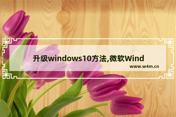 升级windows10方法,微软Windows 10易升