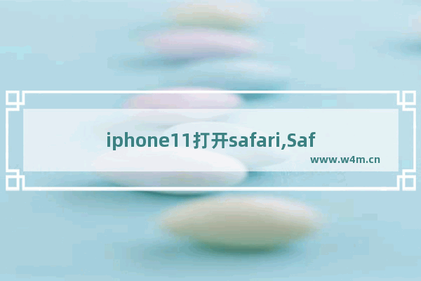 iphone11打开safari,Safari11