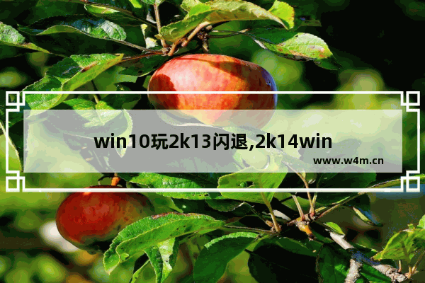 win10玩2k13闪退,2k14win10闪退