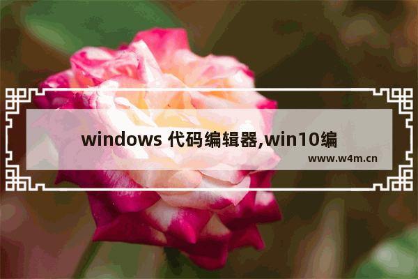 windows 代码编辑器,win10编程软件