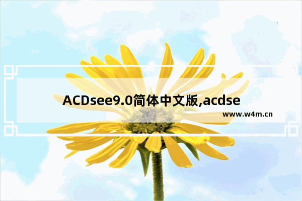 ACDsee9.0简体中文版,acdsee免安装版