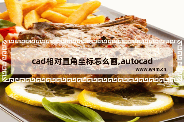 cad相对直角坐标怎么画,autocad画直线相对坐标