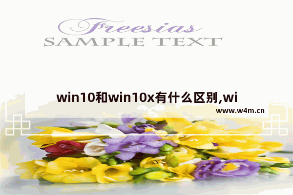 win10和win10x有什么区别,windows10x是什么系统