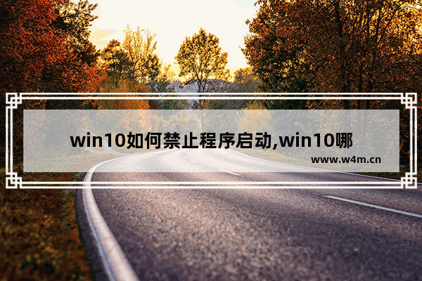 win10如何禁止程序启动,win10哪些启动项可以禁止