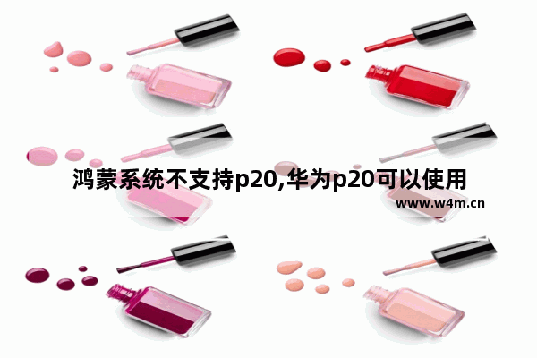 鸿蒙系统不支持p20,华为p20可以使用鸿蒙系统吗