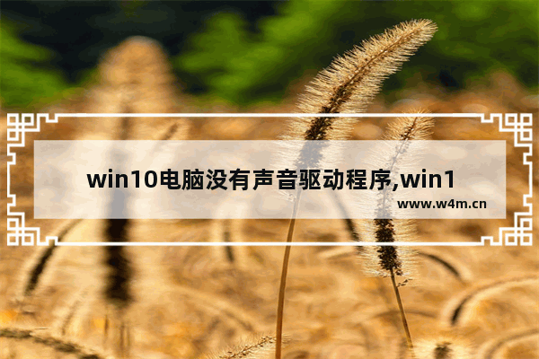 win10电脑没有声音驱动程序,win10系统无声音的有效处理办法