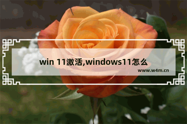 win 11激活,windows11怎么激活