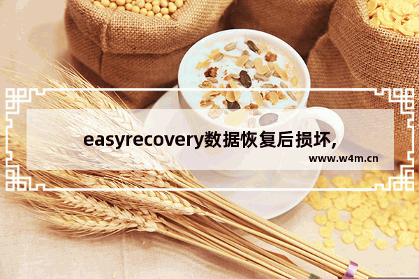 easyrecovery数据恢复后损坏,easyrecovery扫描不出文件