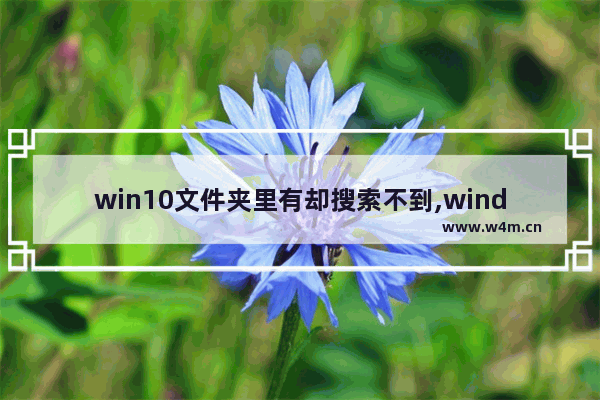 win10文件夹里有却搜索不到,windows10文件夹无法搜索