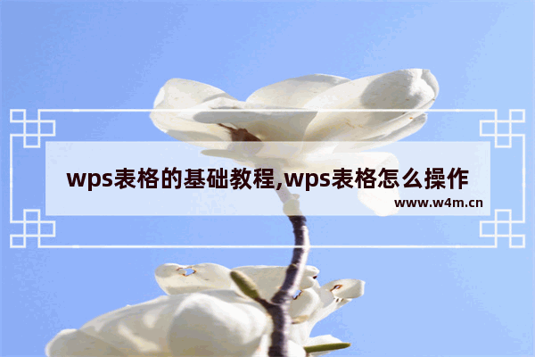 wps表格的基础教程,wps表格怎么操作步骤