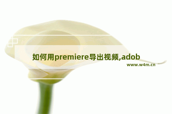 如何用premiere导出视频,adobe premiere pro怎么导入视频