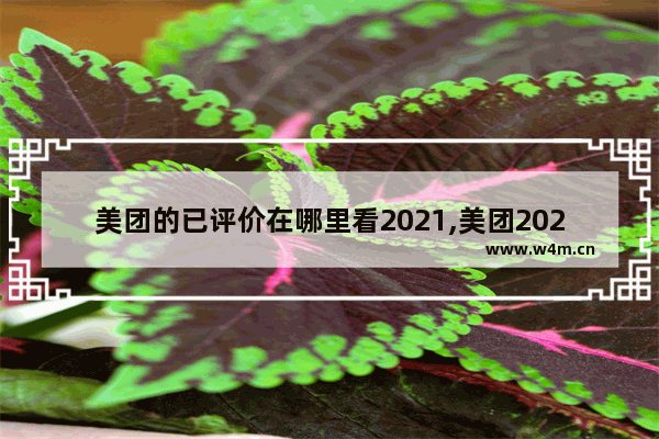 美团的已评价在哪里看2021,美团2021年第一季度