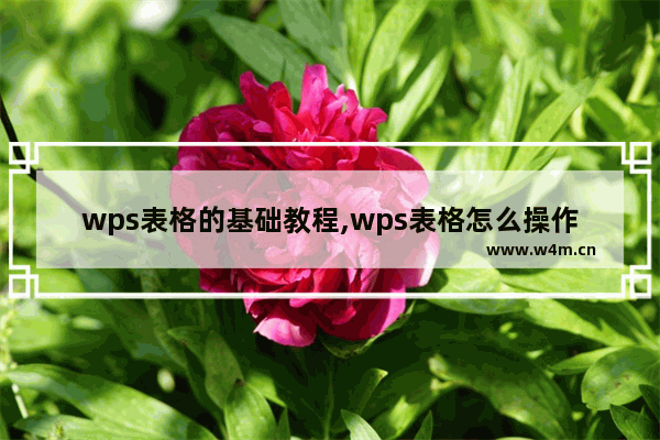 wps表格的基础教程,wps表格怎么操作步骤