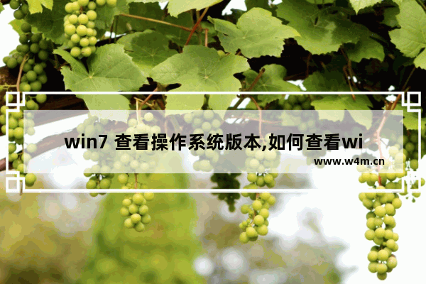 win7 查看操作系统版本,如何查看win7系统的版本