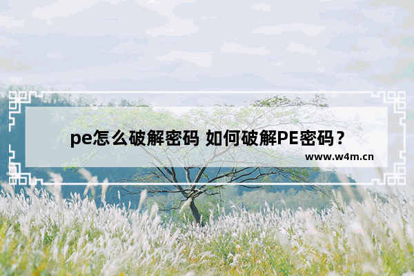 pe怎么破解密码 如何破解PE密码？