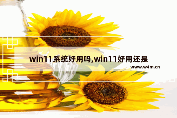 win11系统好用吗,win11好用还是win10好用