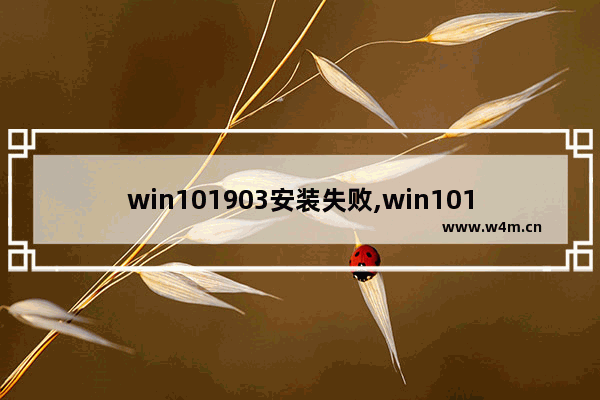 win101903安装失败,win101809安装失败