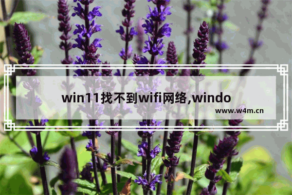 win11找不到wifi网络,windows11wifi打不开