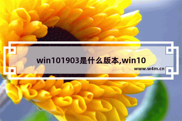 win101903是什么版本,win101909是最新的吗