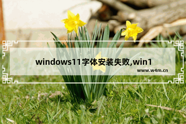 windows11字体安装失败,win11中文字体