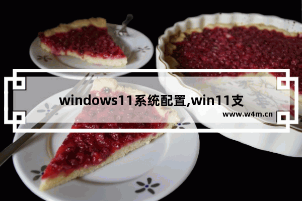 windows11系统配置,win11支持配置