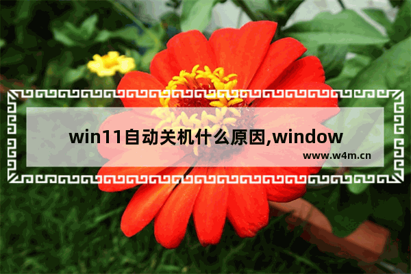 win11自动关机什么原因,windows11会自动关机