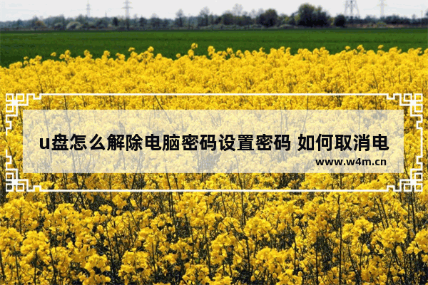 u盘怎么解除电脑密码设置密码 如何取消电脑密码并设置U盘密码？