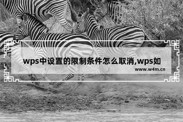 wps中设置的限制条件怎么取消,wps如何取消限制