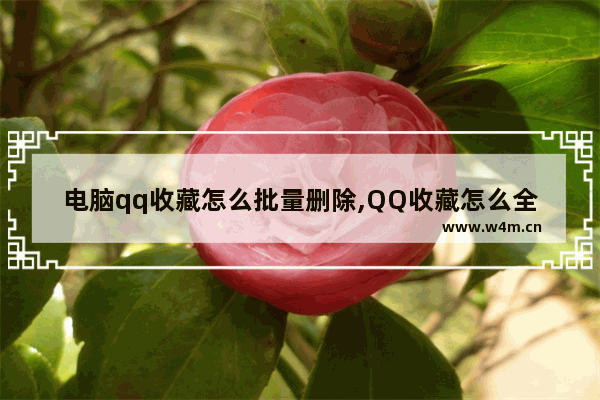 电脑qq收藏怎么批量删除,QQ收藏怎么全部删除