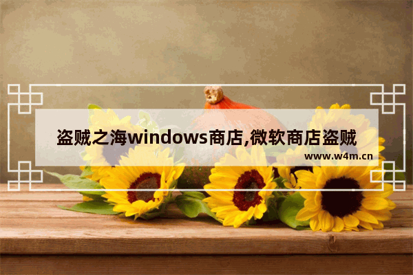 盗贼之海windows商店,微软商店盗贼之海下载错误