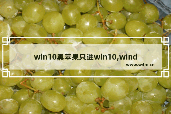 win10黑苹果只进win10,windows10 黑苹果