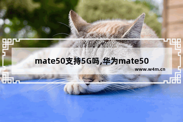 mate50支持5G吗,华为mate50能用5g吗